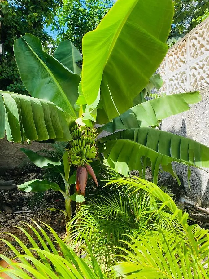 Jaakbal Tulum Apartment Homestay